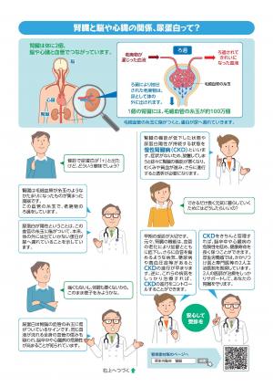 慢性腎臓病（Ckd）のチラシ裏