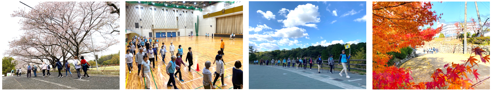 いきいき健康ウオーキング　写真