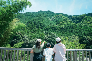 飯高町で泊まる・くつろぐ編