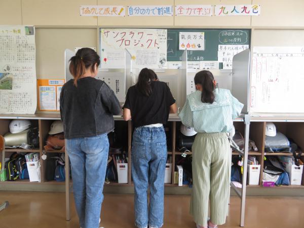 投票用紙記載の写真