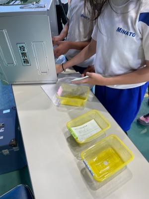 開票作業の様子