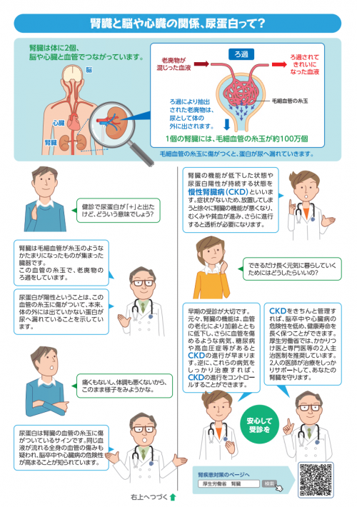 腎臓からのSOSを見逃していませんか？（リーフレット裏面）