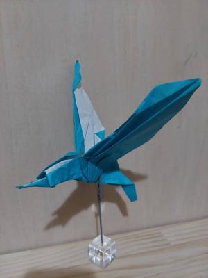 作品展示の例