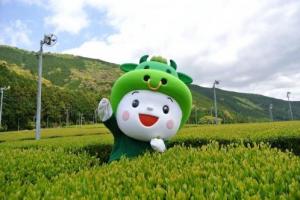 ちゃちゃも