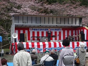 なめり湖桜まつり写真