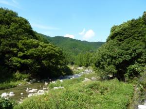 中村川ネコギギ生息地（１）