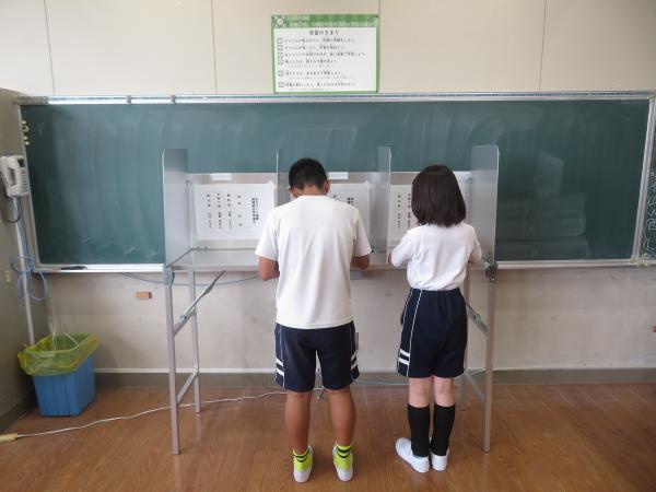 投票用紙記載の写真