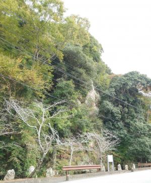 ムカデラン