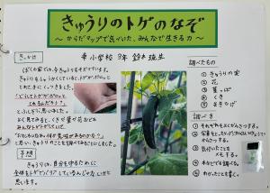 幸３年鈴木さん①