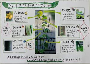 幸３年鈴木さん③