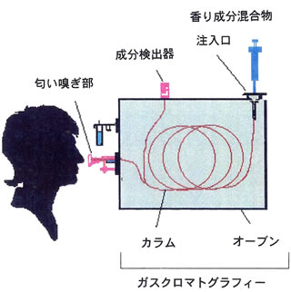 ガスクロマトグラフィー-においかぎ法