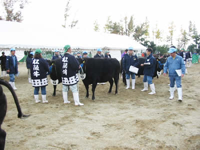 松阪肉牛共進会の写真