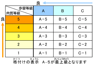 格付けの表示