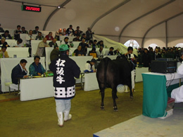 松阪肉牛共進会のセリ市の風景の写真