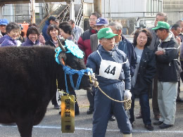 よしとよ号の写真