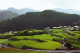 深野の棚田（飯南町深野）