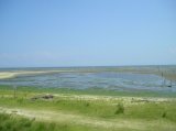 雲出川から三渡川にかけての水際（五主町・喜多村新田町ほか）