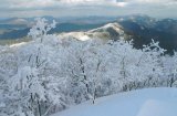 高見山からの樹氷（飯高町波瀬）