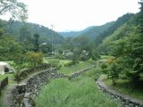 つつじの里・荒滝（飯高町赤桶）