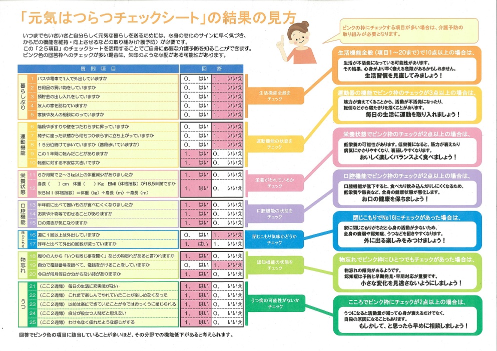 元気はつらつチェックシートの見方