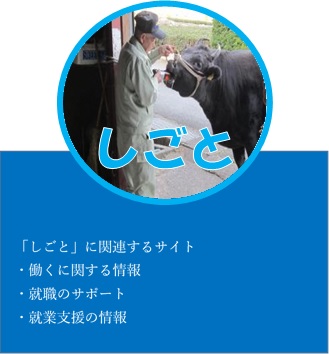 仕事に関連するサイト、働くに関する情報、就職のサポート、就業支援の情報