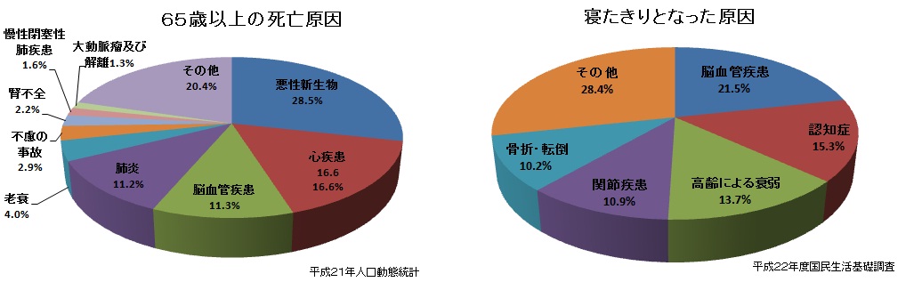 死亡の原因と介護の要因の違い