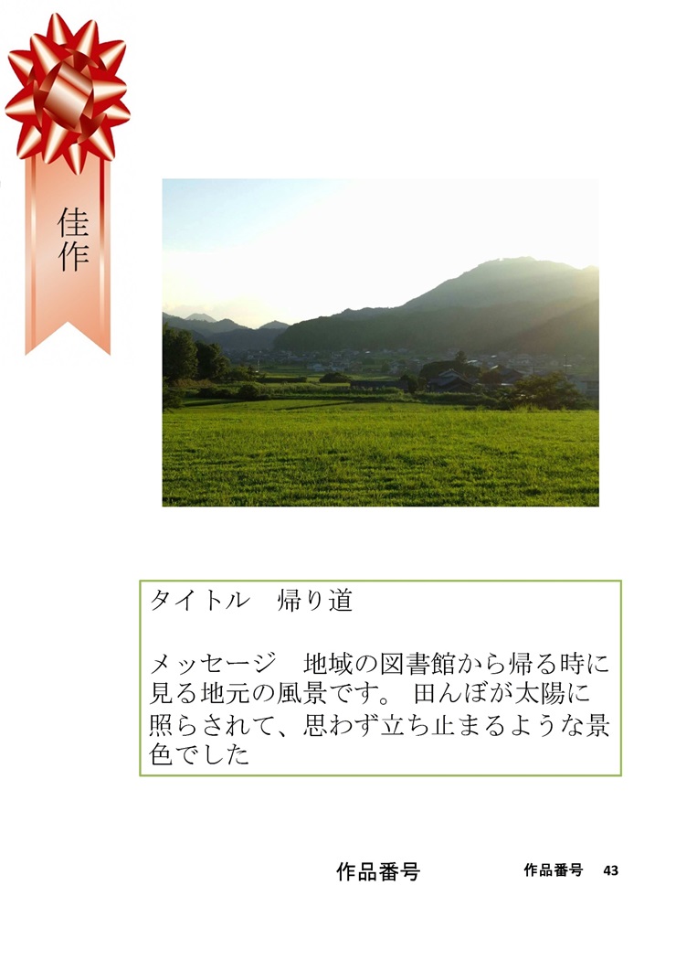 タイトル「帰り道」　地域の図書館から帰る時に見る地元の風景です。 田んぼが太陽に照らされて、思わず立ち止まるような景色でした　