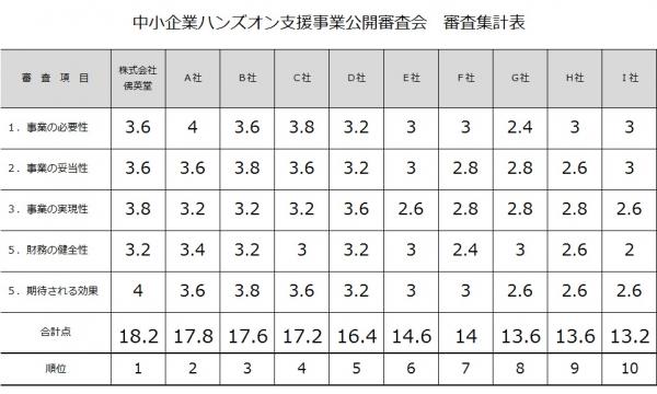 ハンズオン支援審査結果