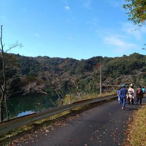 なめり湖健康ウォーキング写真