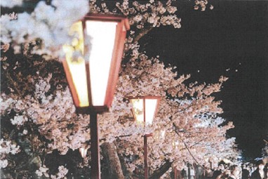 松坂城跡桜ライトアップ